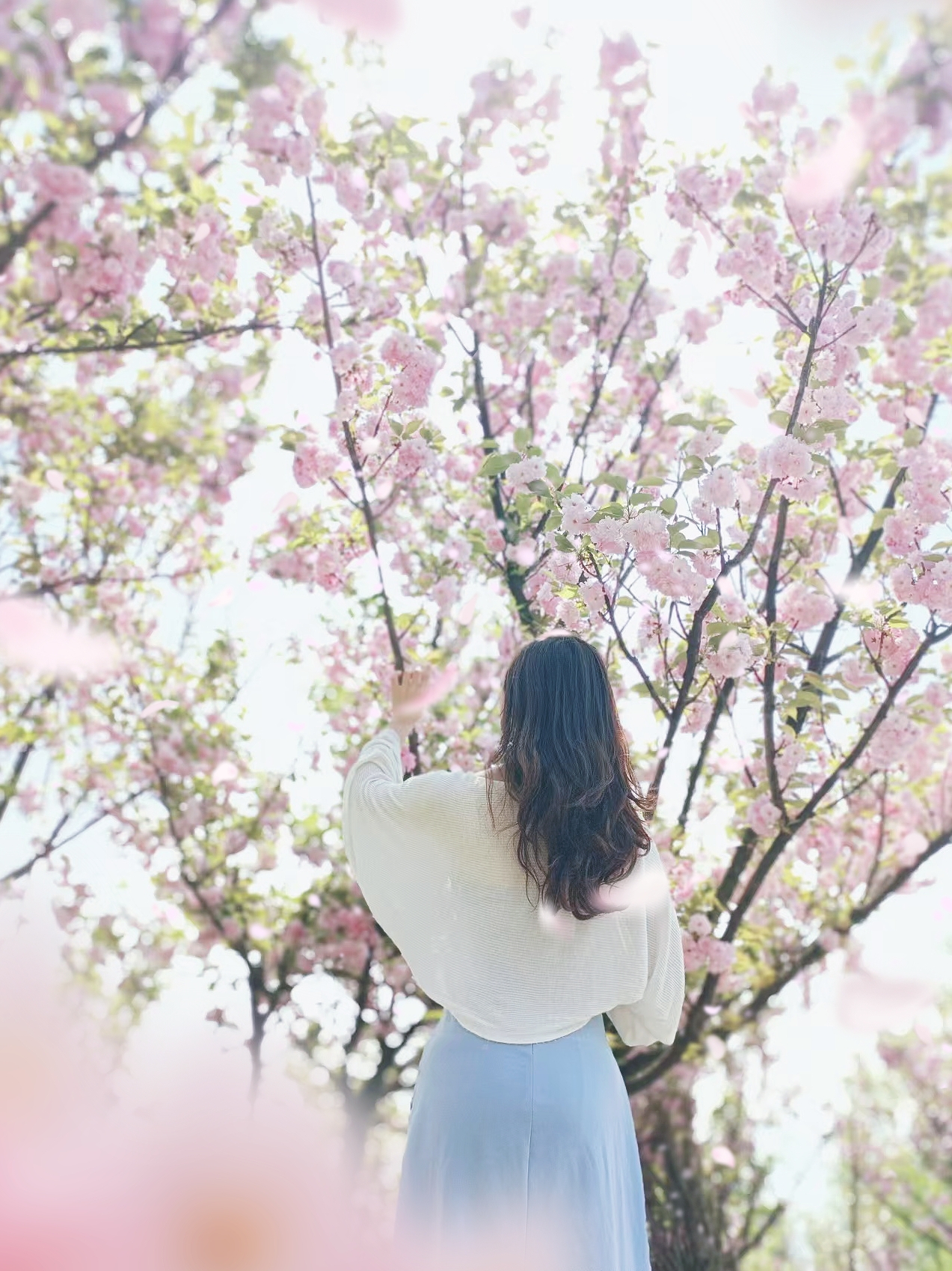 1744187815253270.jpg 2738f6755b2d6a5ebeaea47bbc85636.jpg