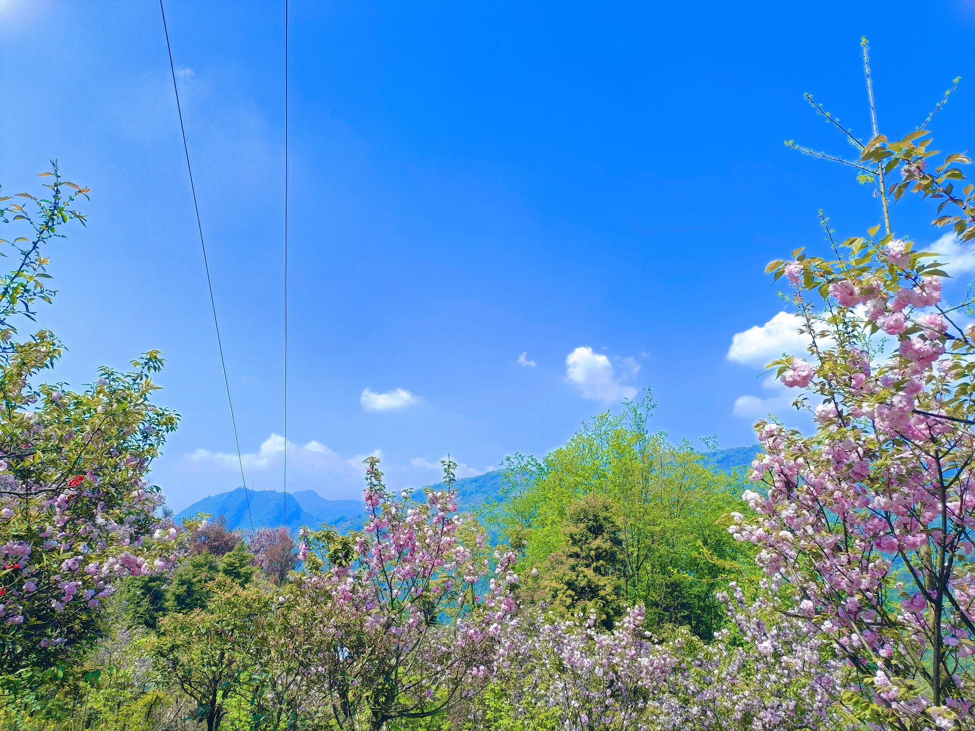 1744187932428345.jpg 80705ca23f87579c46354f6ae0b0120.jpg