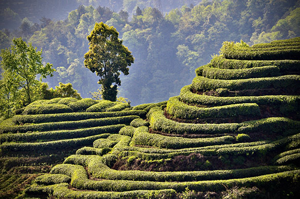 1744345133443351.jpg 5.jpg