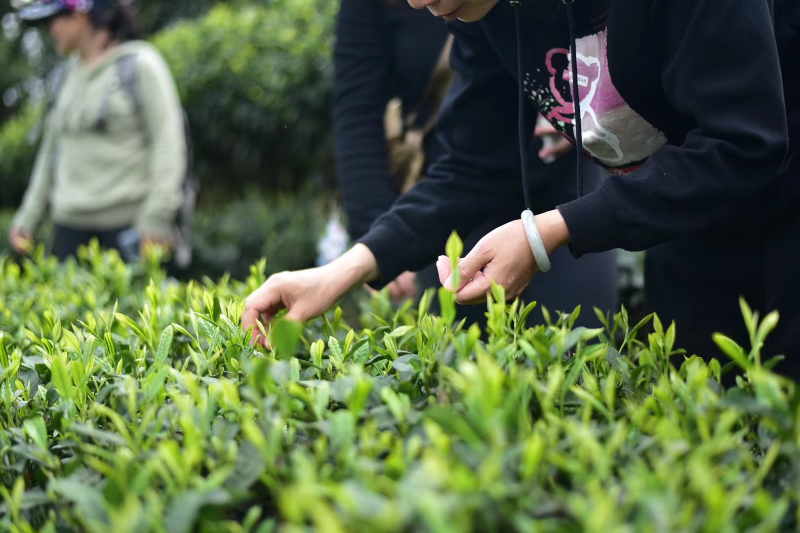 1744345154387252.jpg 7.jpg