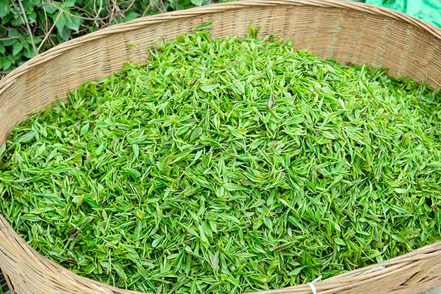 1744345156933810.jpg 8.jpg