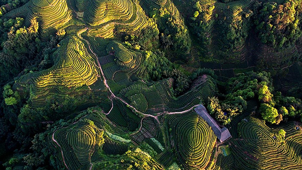 1744345428762542.jpg 2.jpg