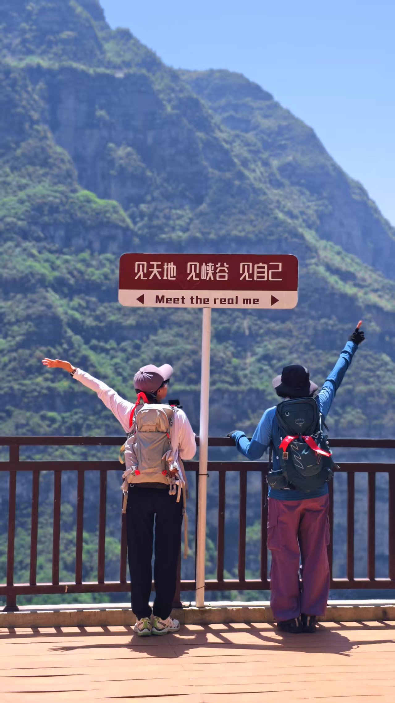 1747103262652096.jpg fd938bcd35b9b87070f334781dfd97b.jpg