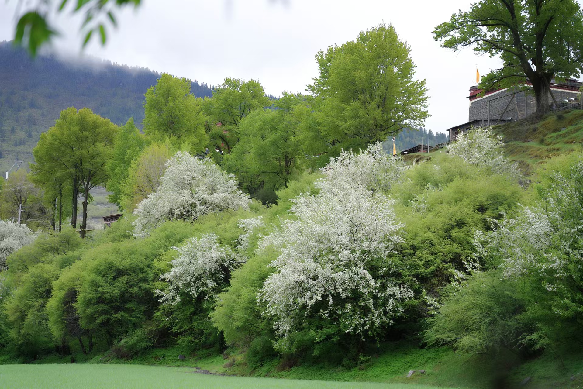 1747616076928758.jpg d57f1daa45c0fca005050aaf956269f.jpg