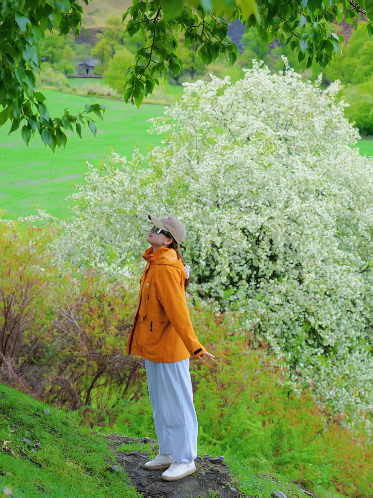 1747616085971721.jpg dd6d651a8fe2dc901f3593eee5aae92.jpg