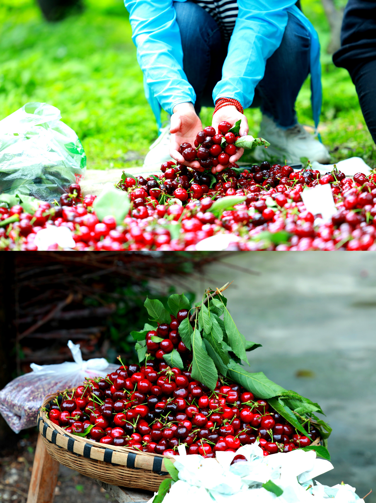 1747622458343116.jpg 20143258402babb35d35578681edfd8.jpg