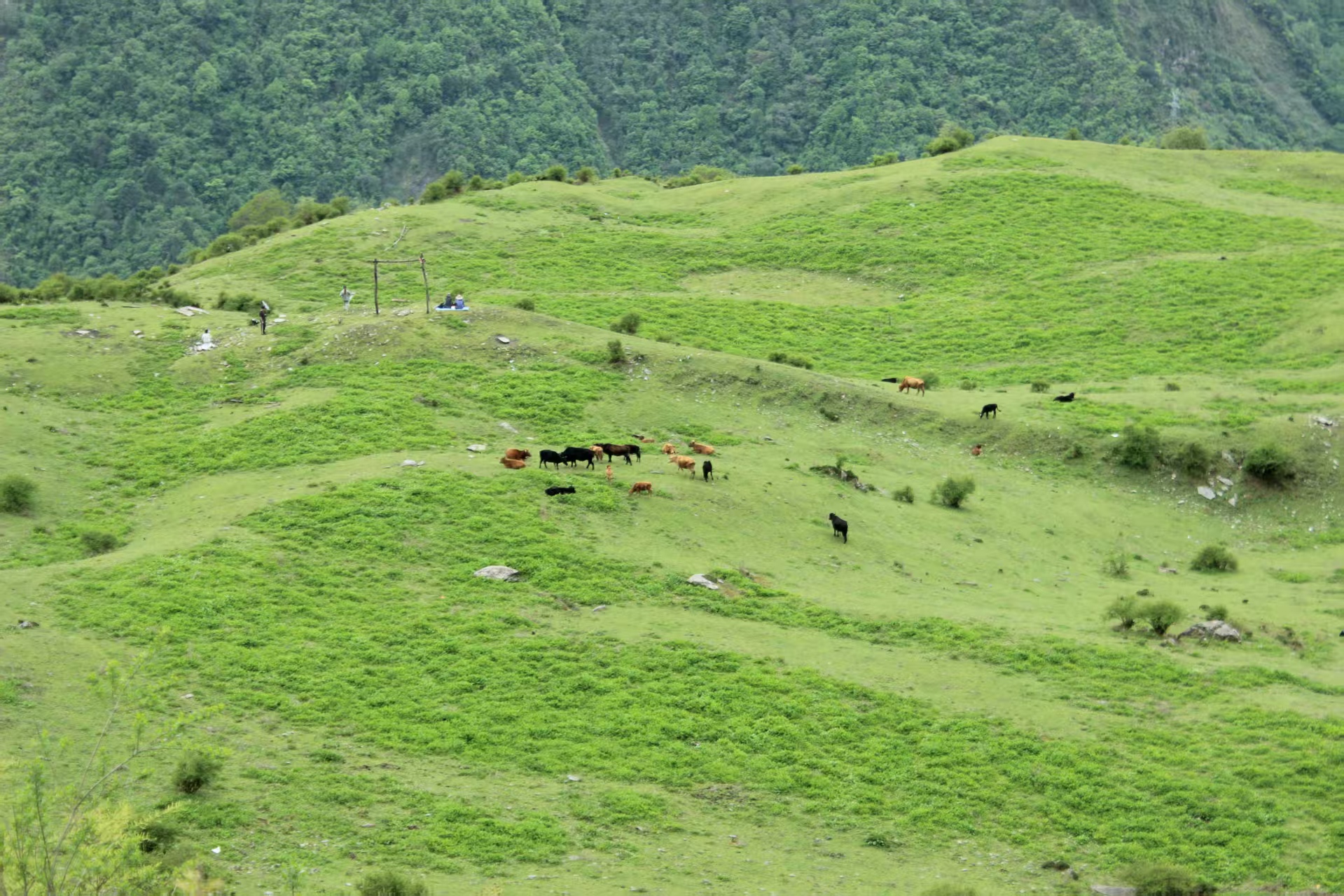 1747711430123254.jpg 211f6ec936a85741033d6a2ec9ac83b.jpg