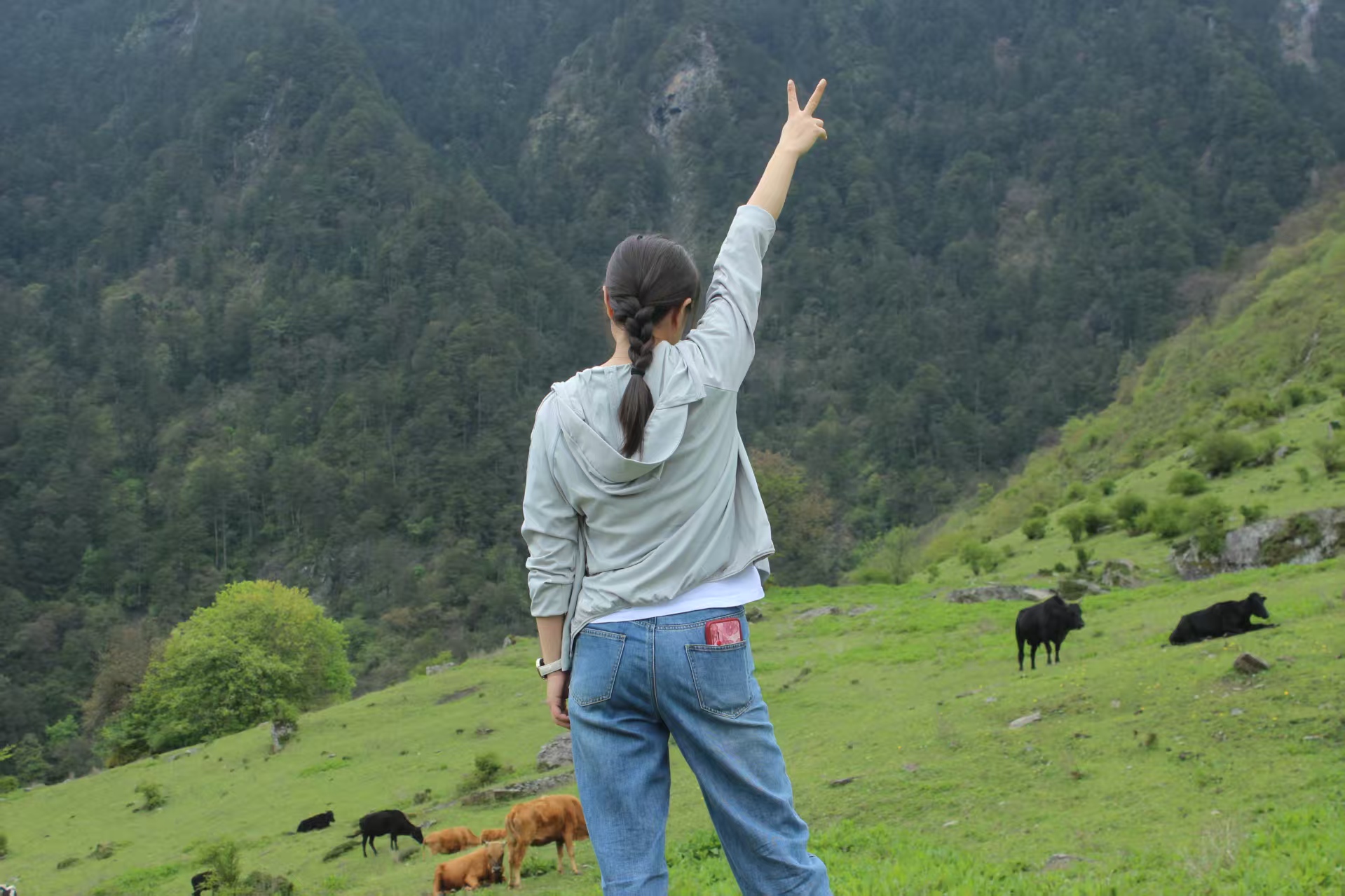 1747711449873274.jpg 993bc1afec8c629edf2099c563f3436.jpg