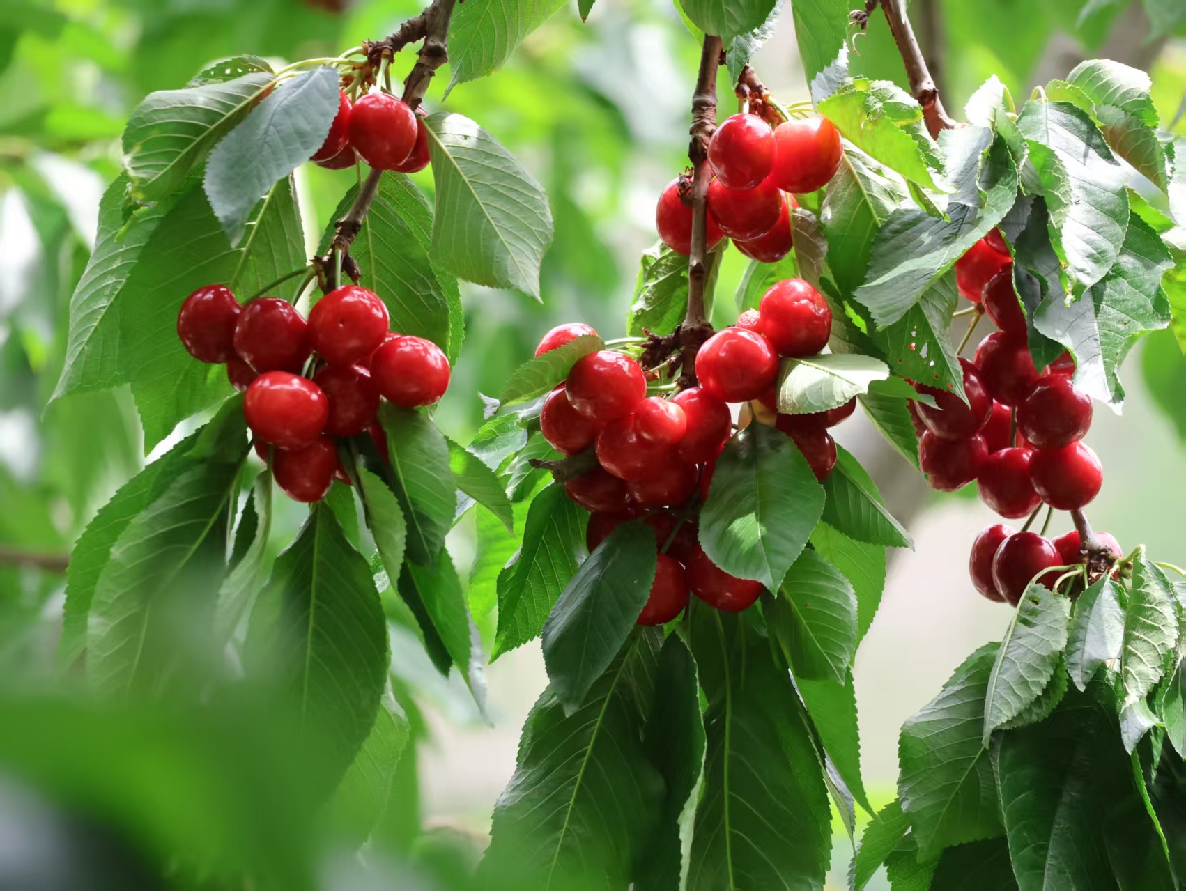 1748076086199230.jpg 3b893457d9ec4e98b6dbc91e4c897f0.jpg