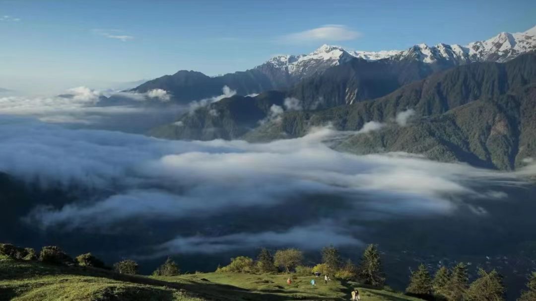 1748240943498576.jpg be0a0d62dbc33ae0696509e6afbdb06.jpg