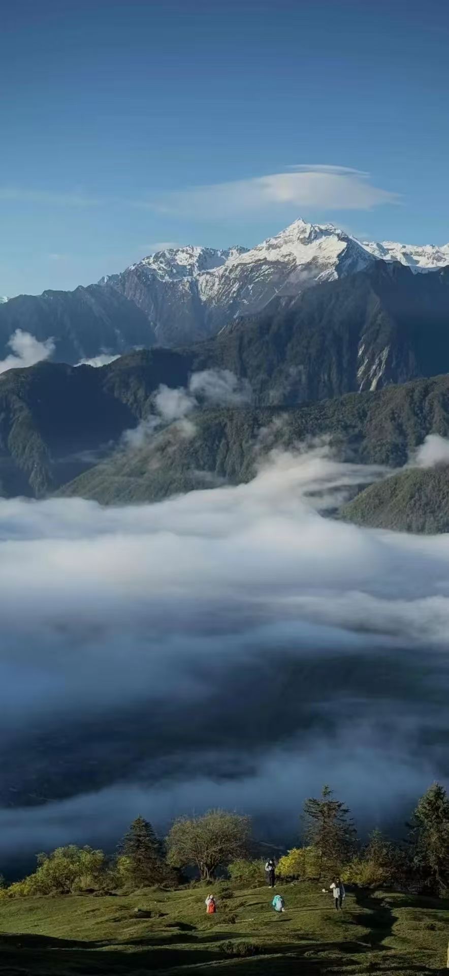 1748241017146245.jpg 79ee36dcc774c2aa08ba1b333671869.jpg