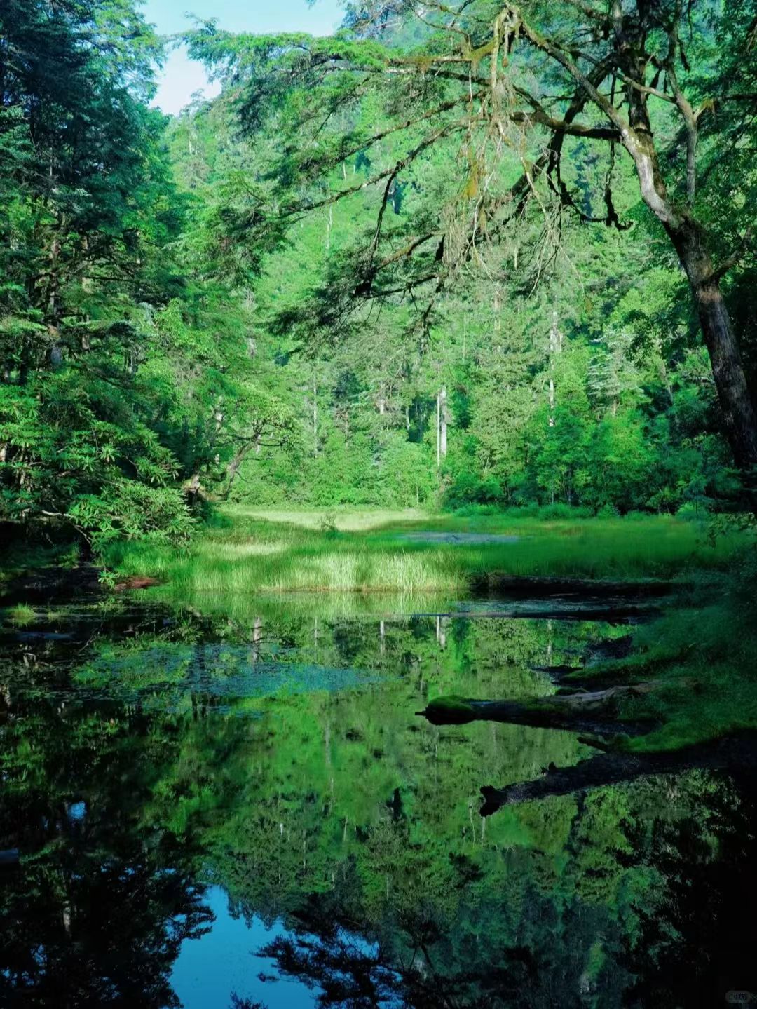 1748241076912654.jpg a328180cc9a273f3a11d8a60ba68569.jpg