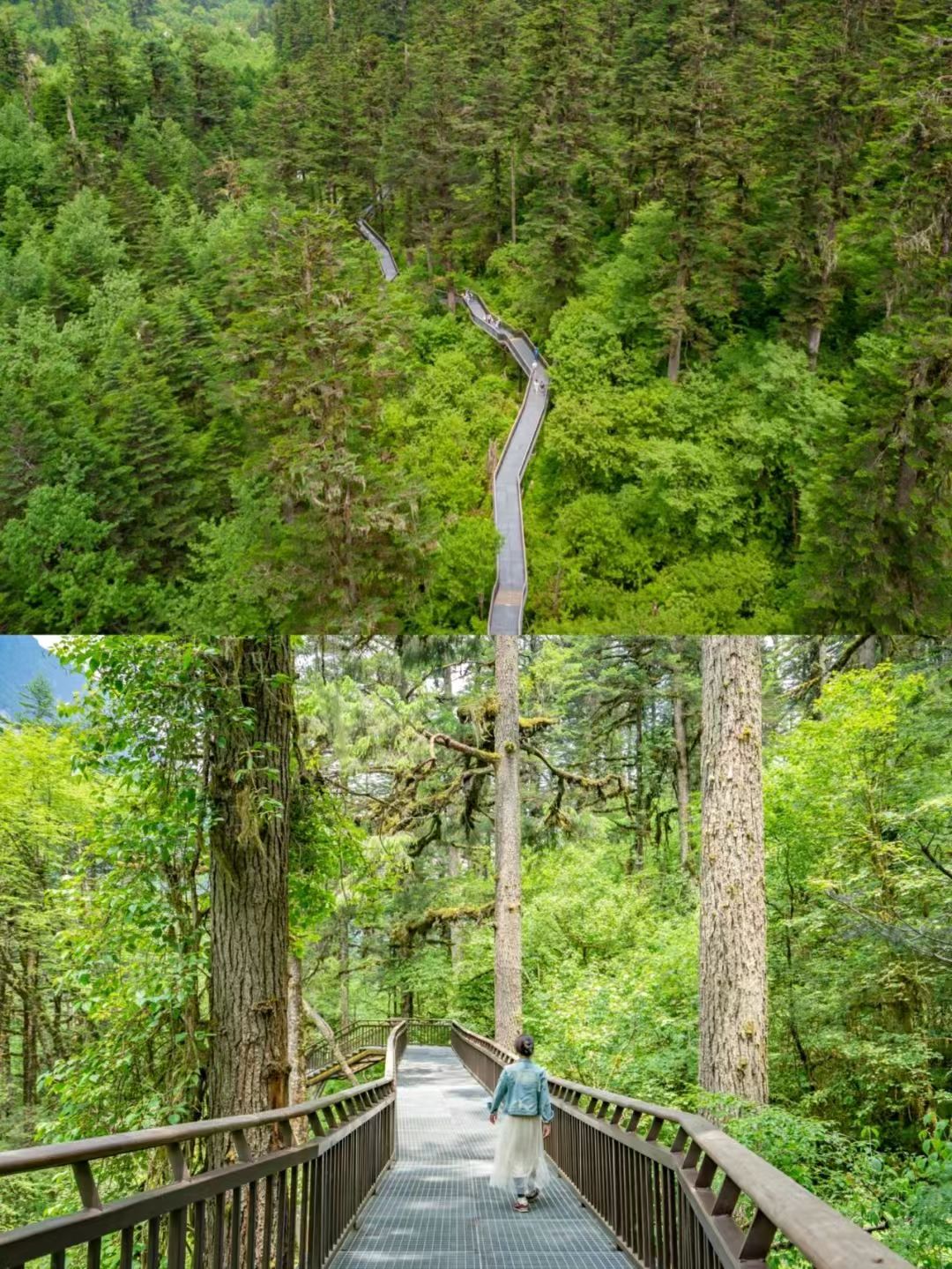 1748241083212756.jpg 70fe6e6664883255847a097bd0510d0.jpg