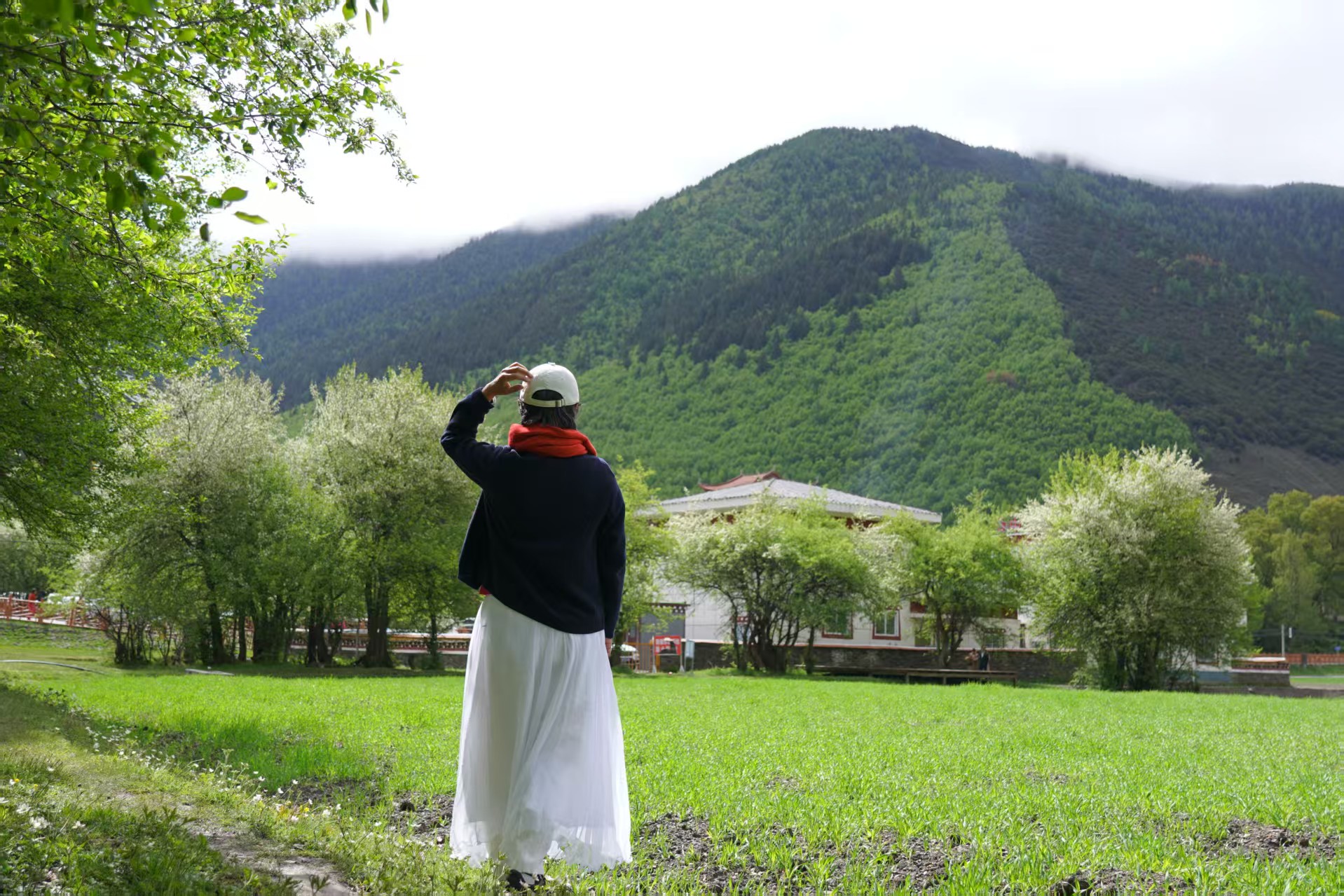 1748246700406911.jpg 004dc3233c958bbd8946340b03a0b57.jpg