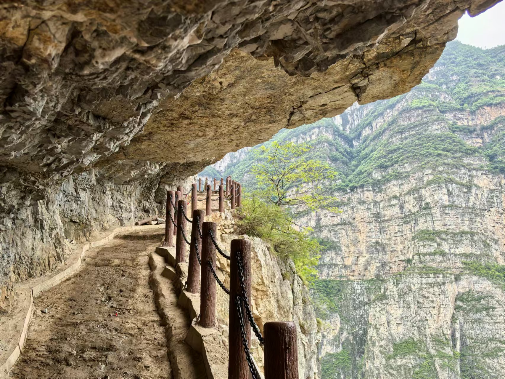 1748333128533401.jpg 微信图片_20250527160418.jpg