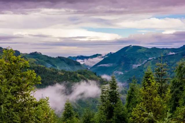 1749176030900706.jpg 1745895982120837.jpg