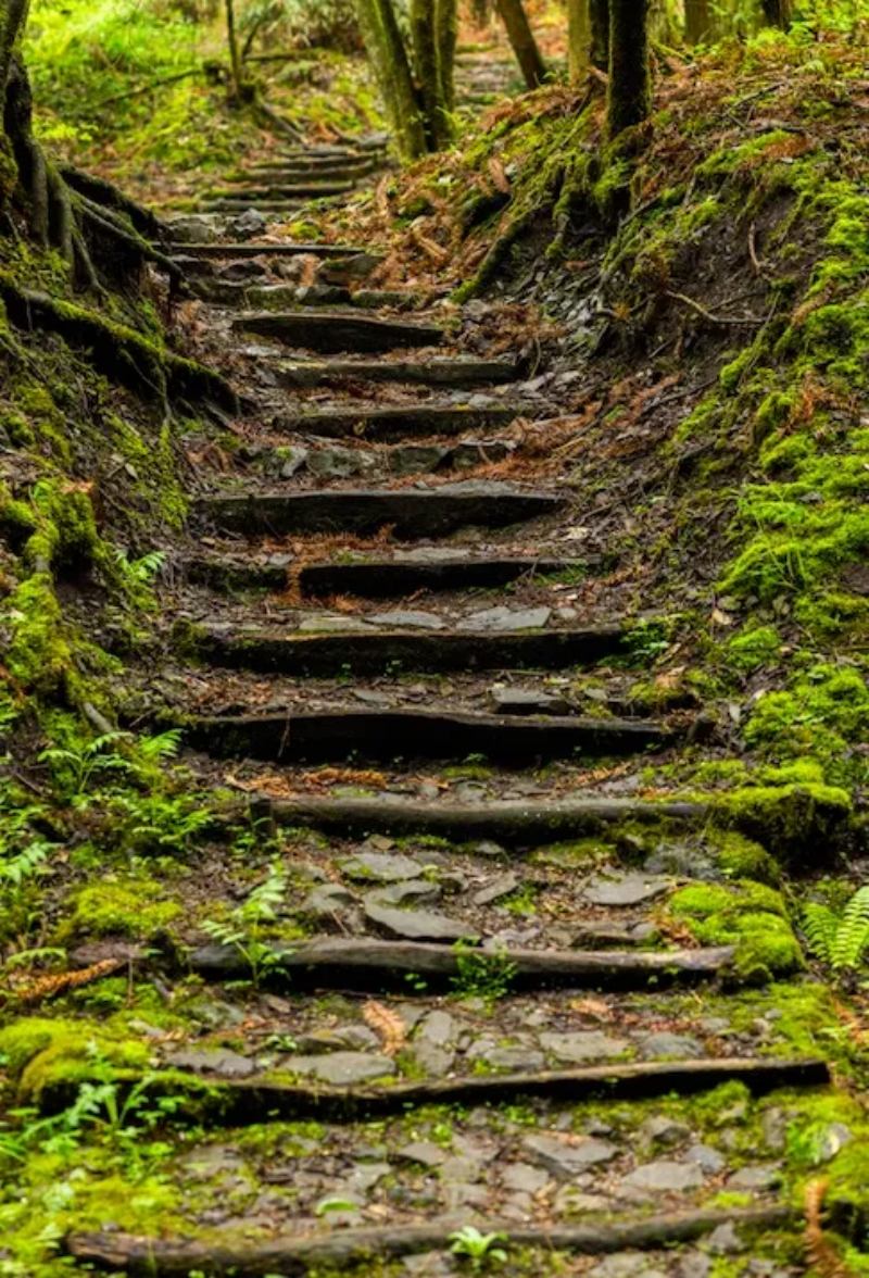 1749176077260203.jpg 1.jpg