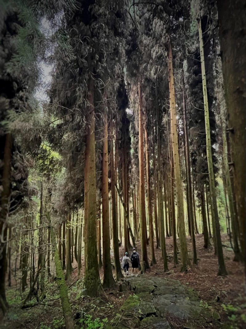 1749176098476277.jpg 6.jpg