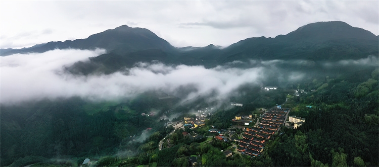 1749176109772560.jpg 4.jpg