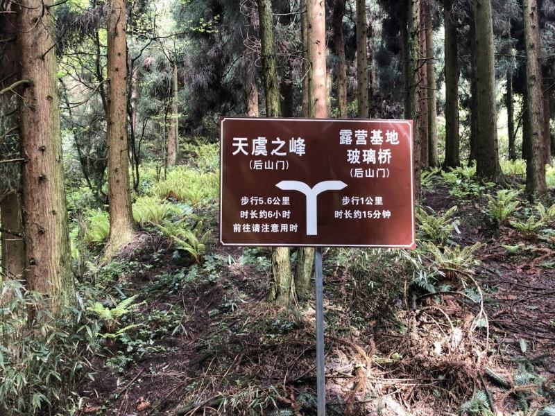 1749176117848725.jpg 5.jpg