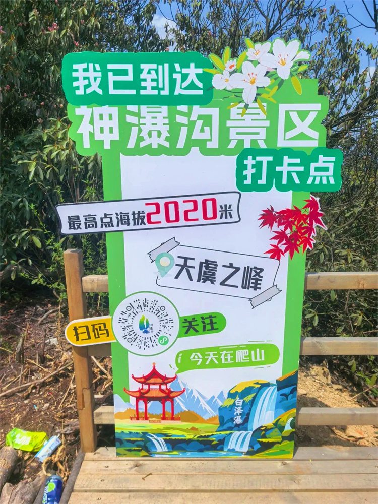 1749176140784036.jpg 8.jpg