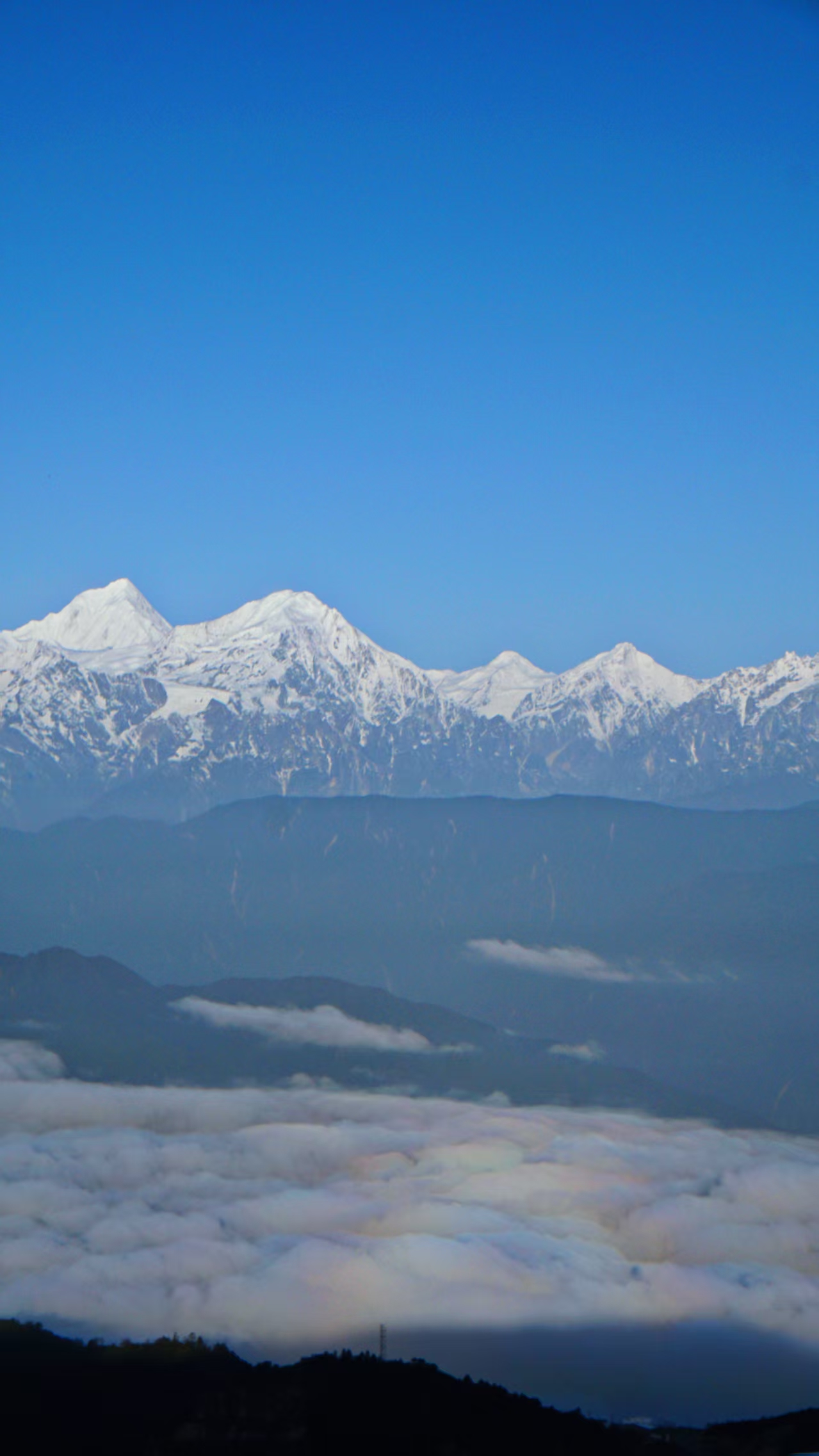 1749525092810542.jpg c3e437bf2d1698e0cbfa9e21effeb5d.jpg