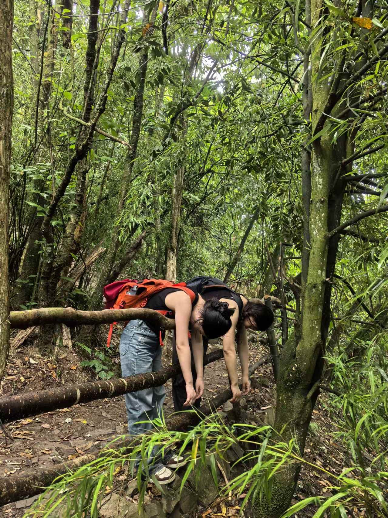 1750039546934034.jpg 微信图片_20250616095041.jpg