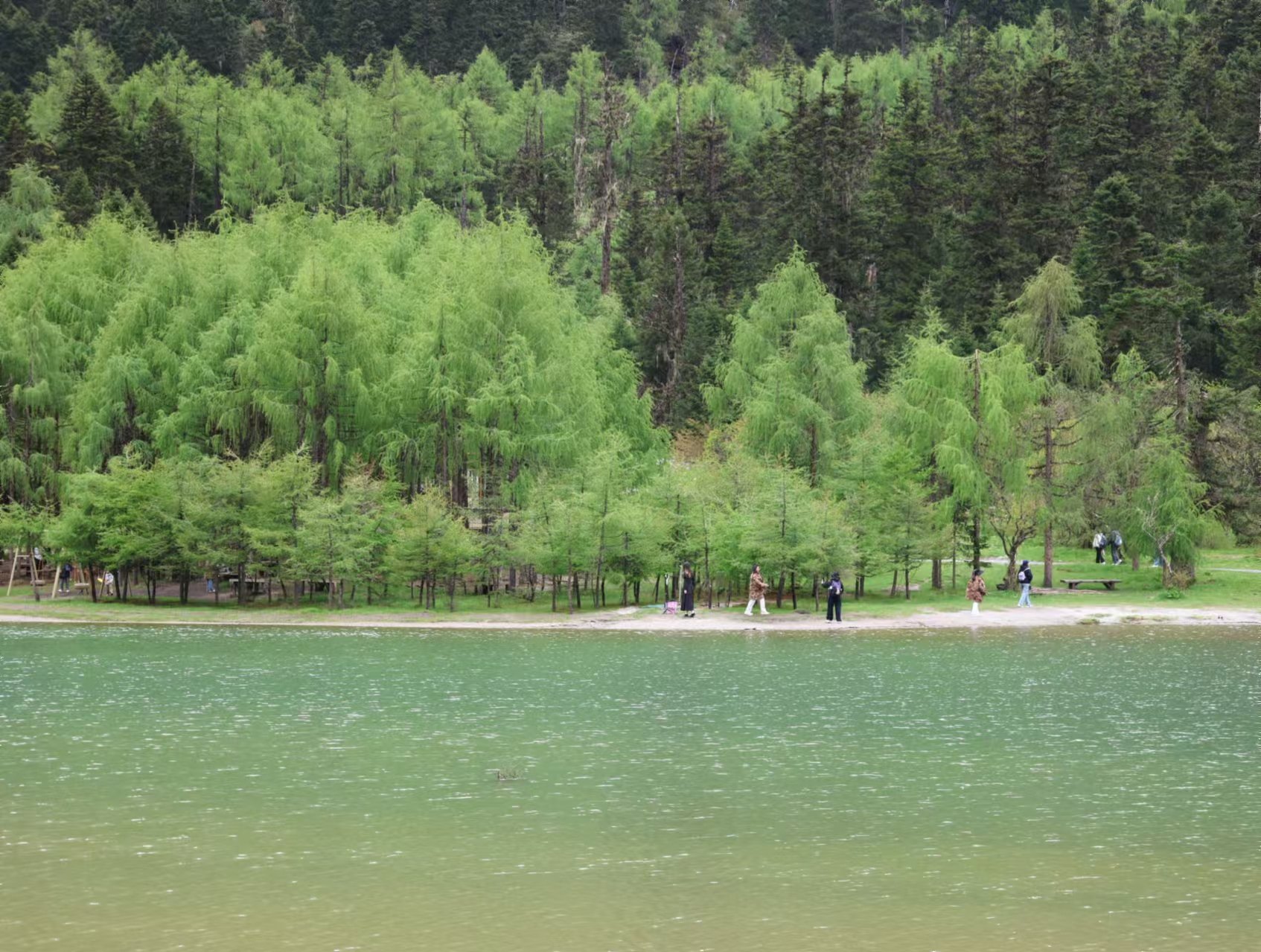 1750039717343108.jpg 微信图片_20250616095020.jpg