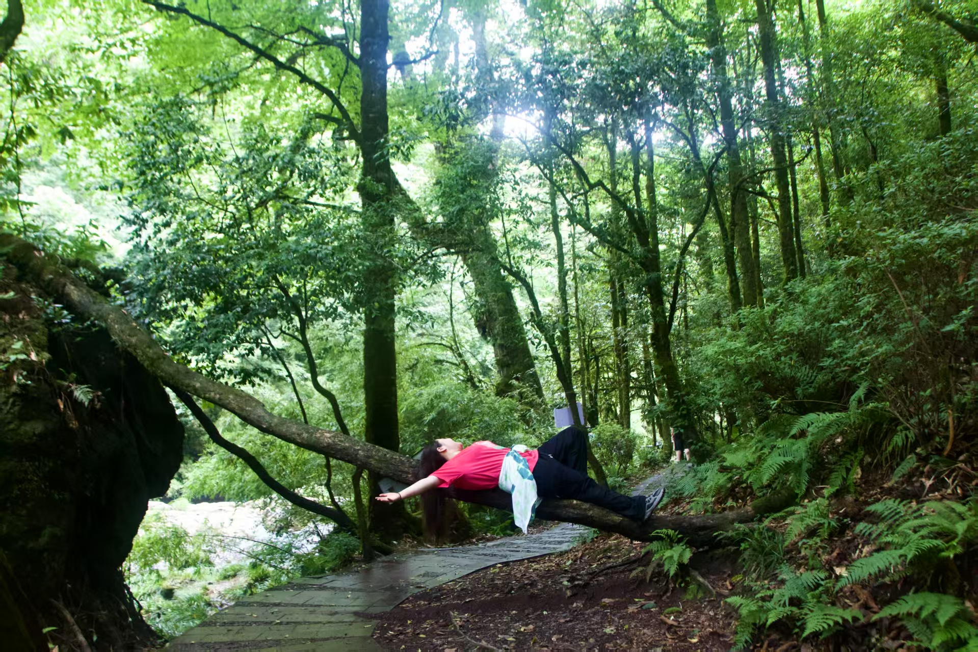 1751355185946462.jpg 4e39b76a3859700bb9b26df4b4536eb.jpg