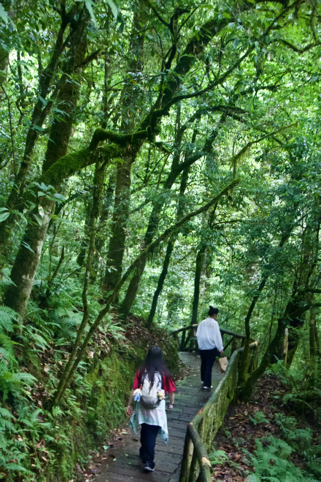 1751355199647276.jpg a5ab2bd7a11adb312d2793c9db6b017.jpg