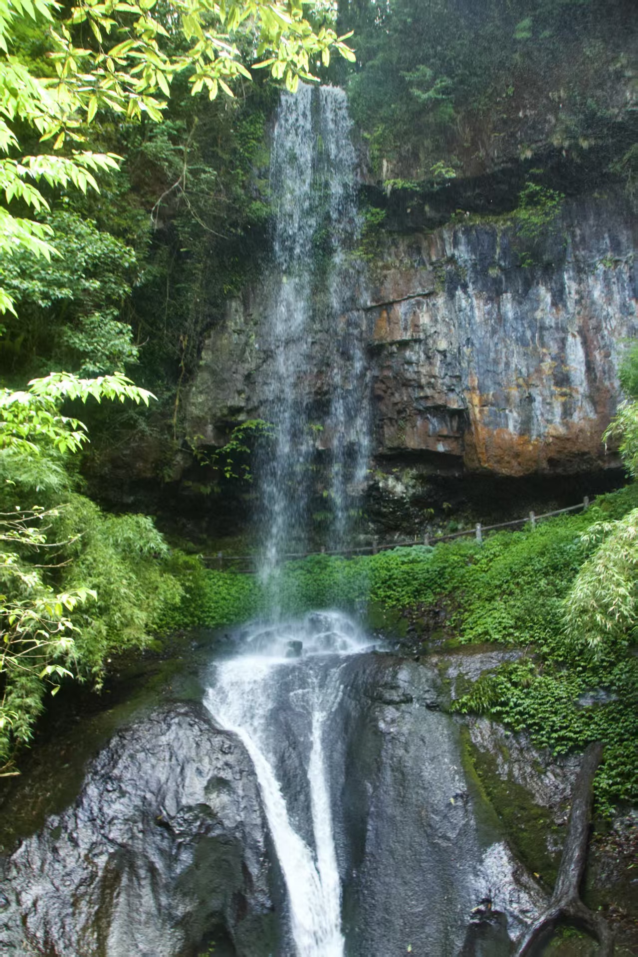 1751355210135091.jpg aa4a3af04a8bd0a6649ae1a17dd8af5.jpg