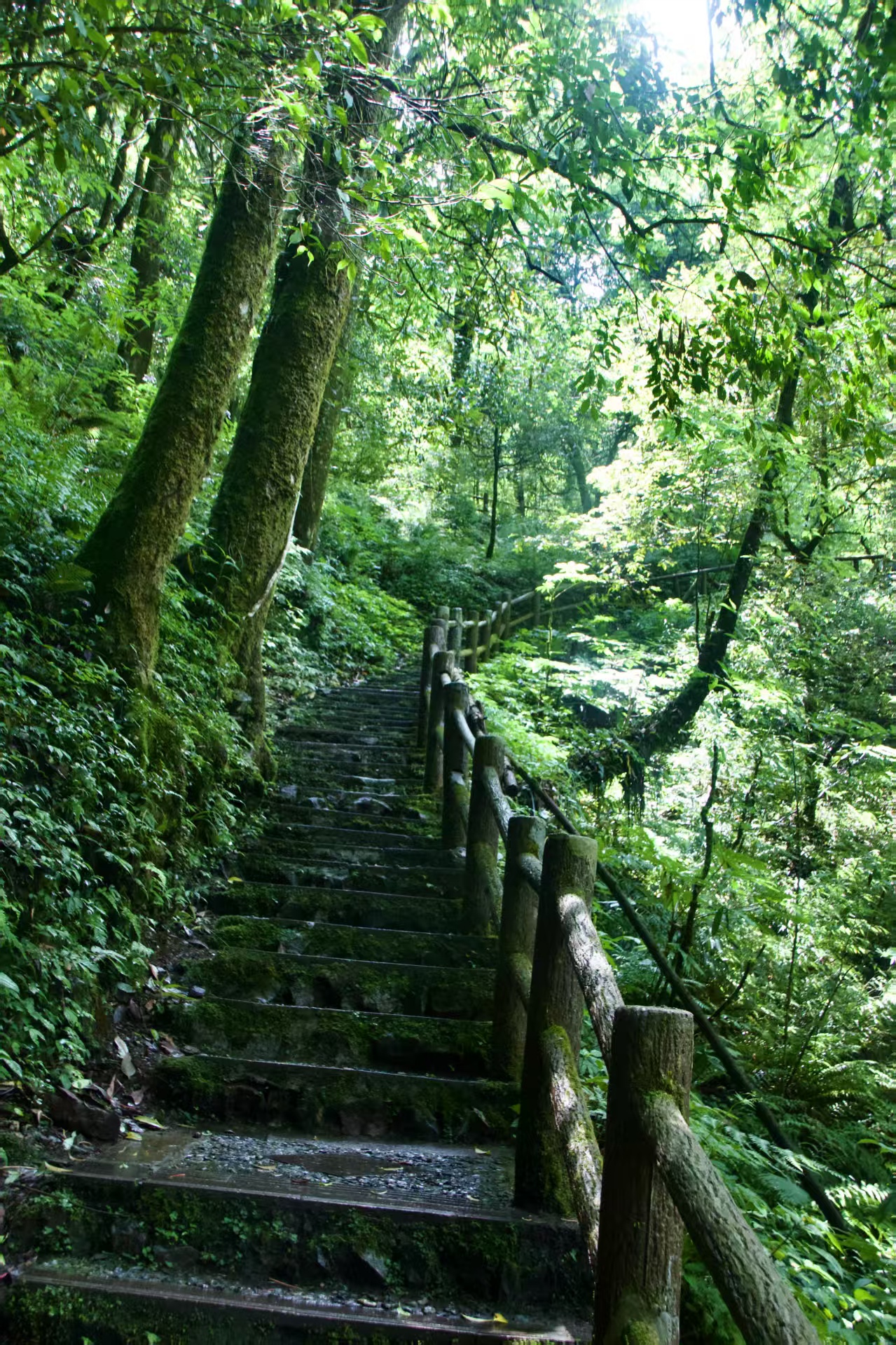 1751355244452074.jpg 19fc0a6fd17cfe10f437068863a4ca3.jpg