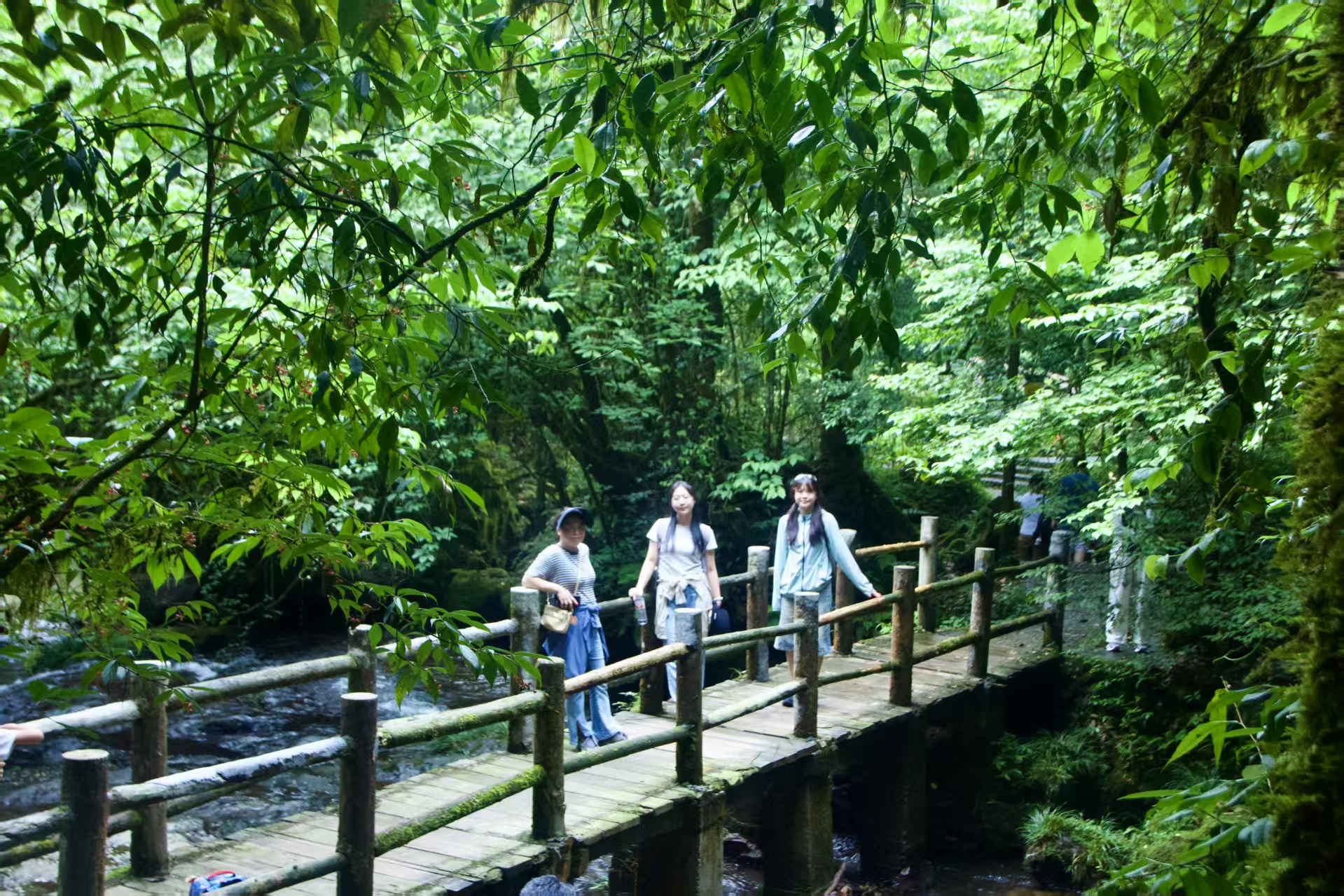 1751355259511958.jpg 41dd11f38b546934508cee37a09c921.jpg