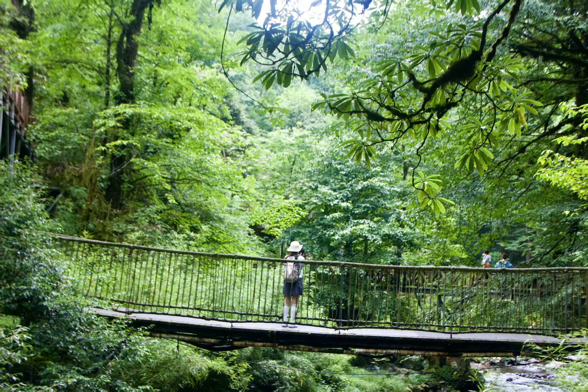 1751355284169494.jpg 961b1e33250fcd81ba059feffd74b3b.jpg