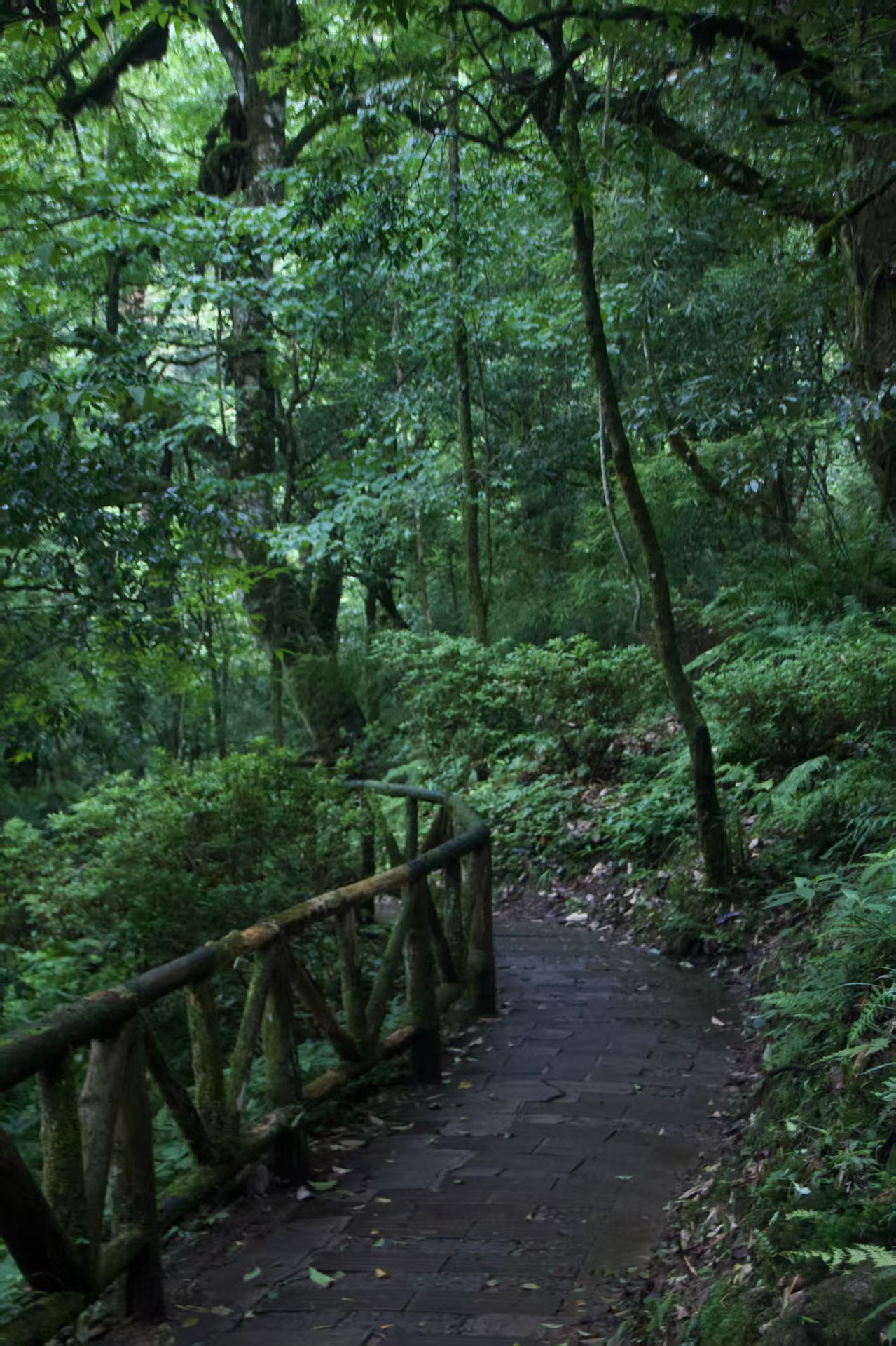 1751355299678216.jpg 64b339284b2dc8d3b9e845c8682465c.jpg