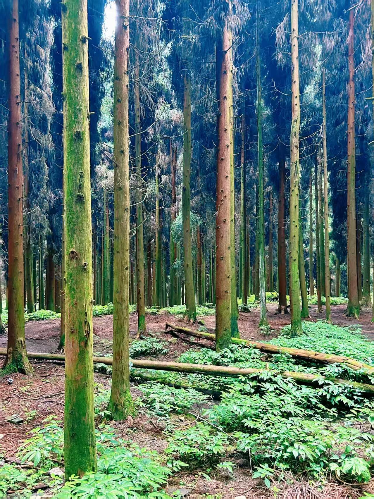 1754271606279464.jpg 微信图片_20250804093120.jpg