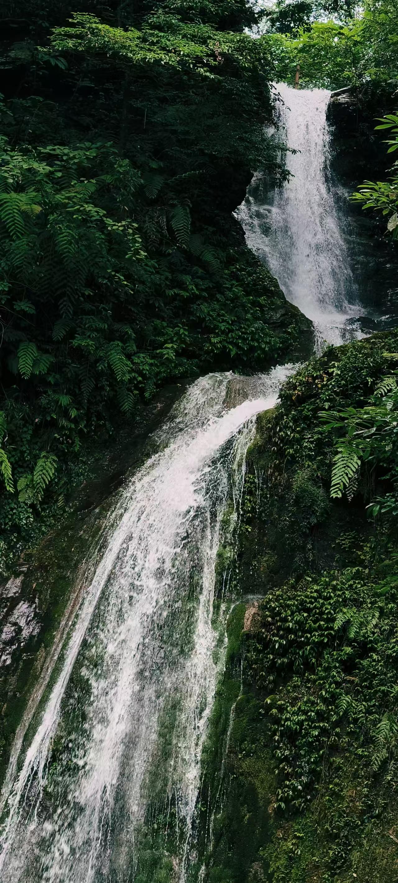 1754271617930318.jpg 微信图片_20250804093122.jpg