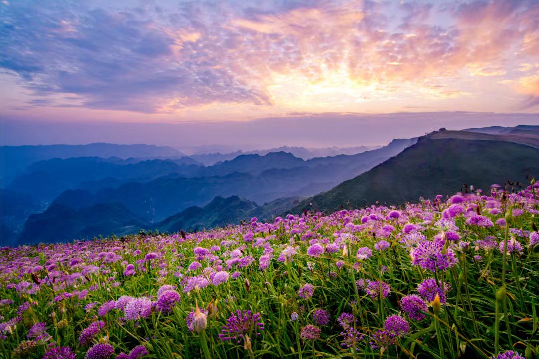 1755137376127960.jpg 2f09181e93033a35d1b356b7956aca0.jpg