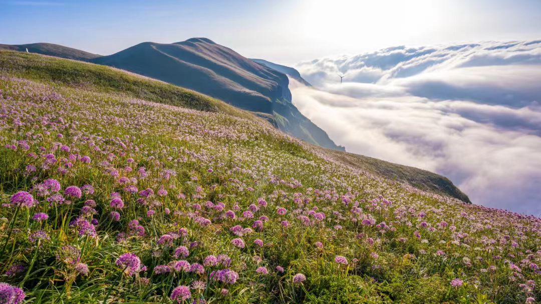 1755137412420681.jpg 3805832dcd42a5c048d8cd165ac8f49.jpg