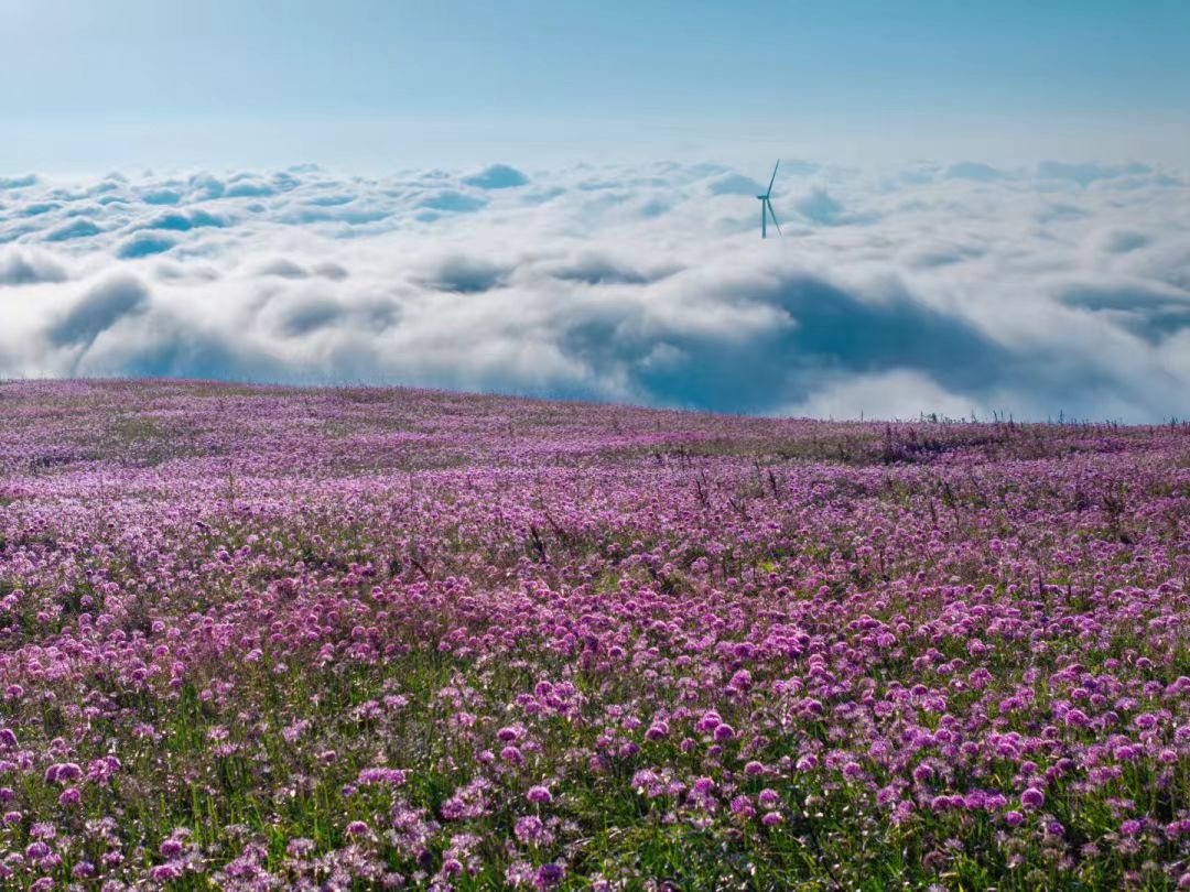 1755137486383174.jpg c726d92fee602ef894fce69b6d3be41.jpg