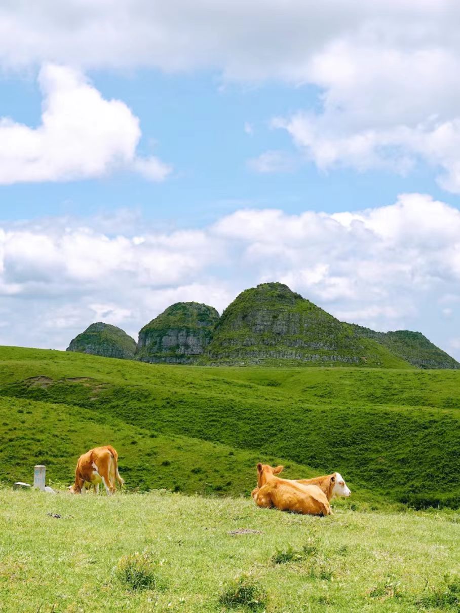 1755137534401128.jpg d8cd26c43bce306747176aa4aac9944.jpg