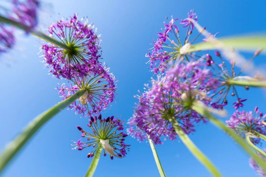 1755137798248160.jpg b12a342c79e4c7ab8fa9298ef70eba1.jpg