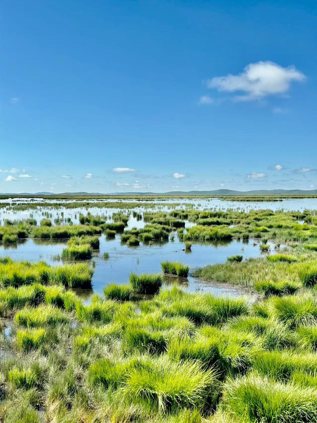 1755482838338892.jpg 微信图片_20250818100507.jpg