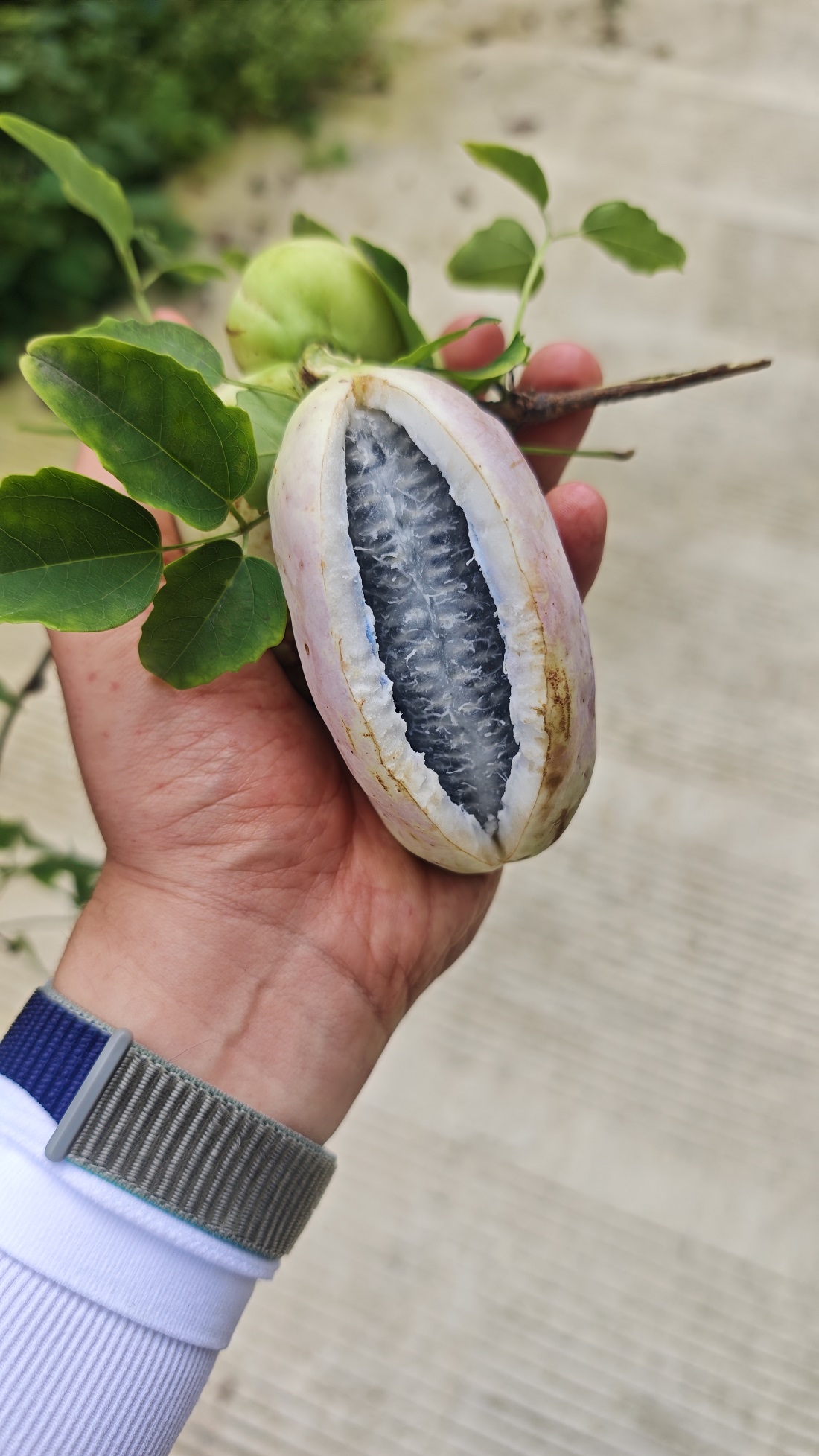 1757920883560901.jpg ce9bb2220af5cc48d9ee5d98b9c7b3d.jpg