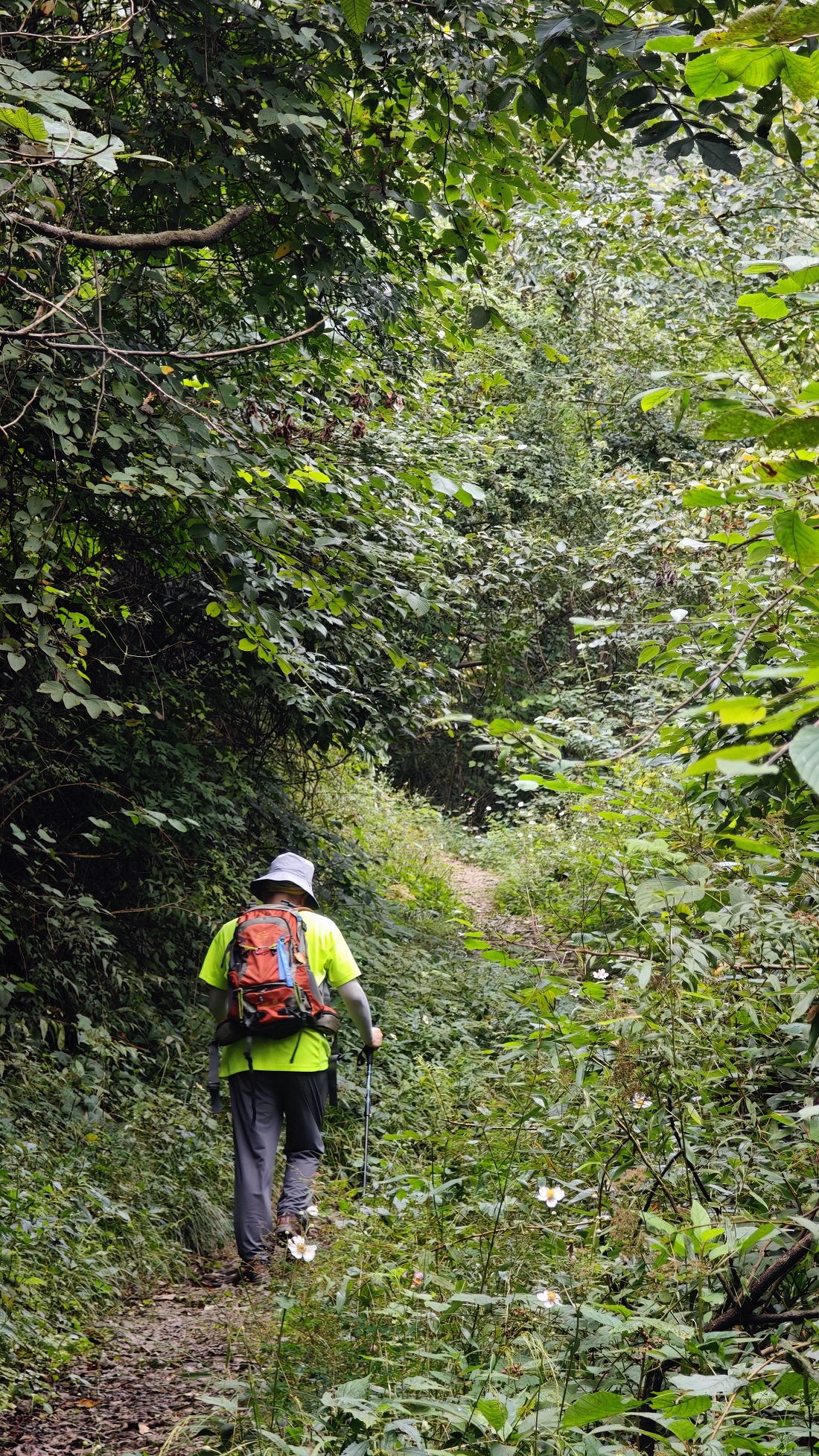 1757920891624177.jpg b58eff5b2b61db17b4f917ad761da67.jpg