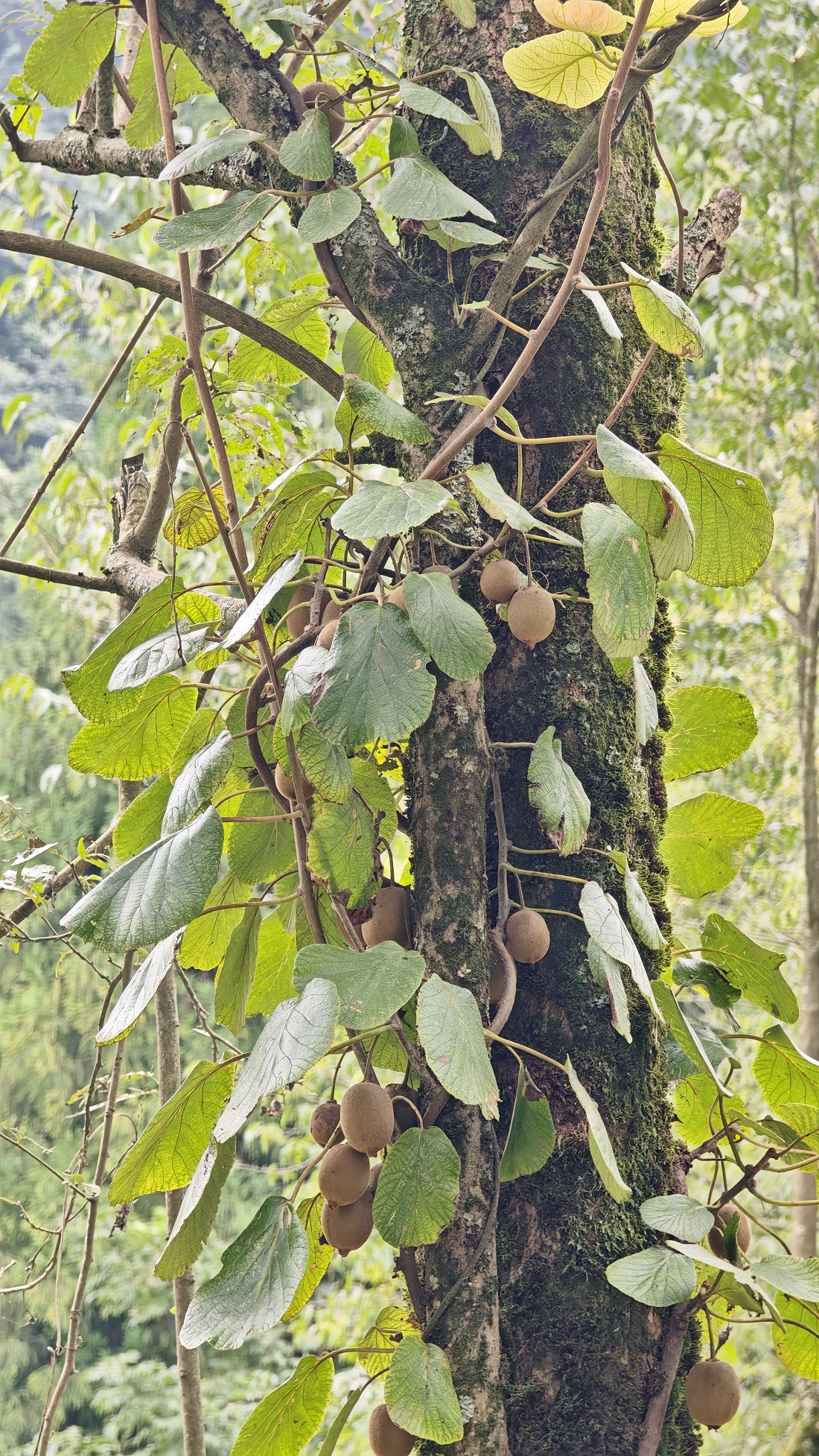 1757920907189088.jpg 3f13e4d0aa863093510efe73687653a.jpg