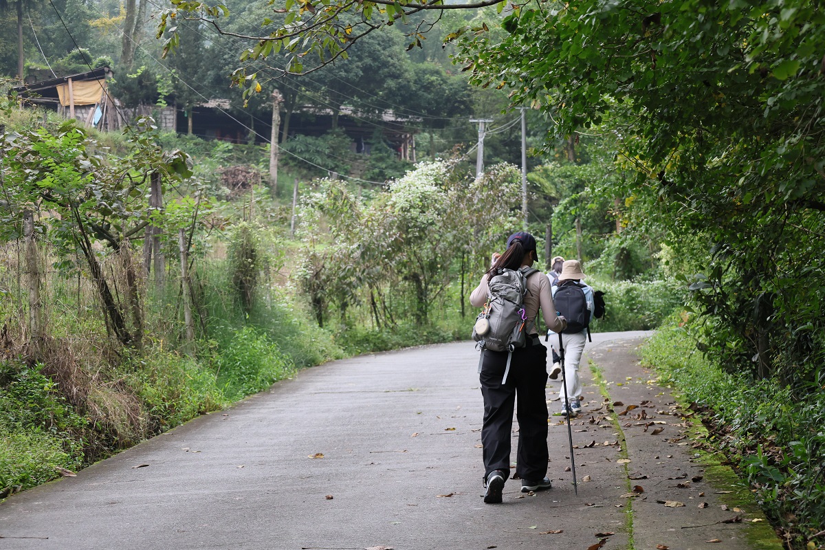 1758964943933422.jpg 9205c3d86358a83acb65e3326f9d79d.jpg