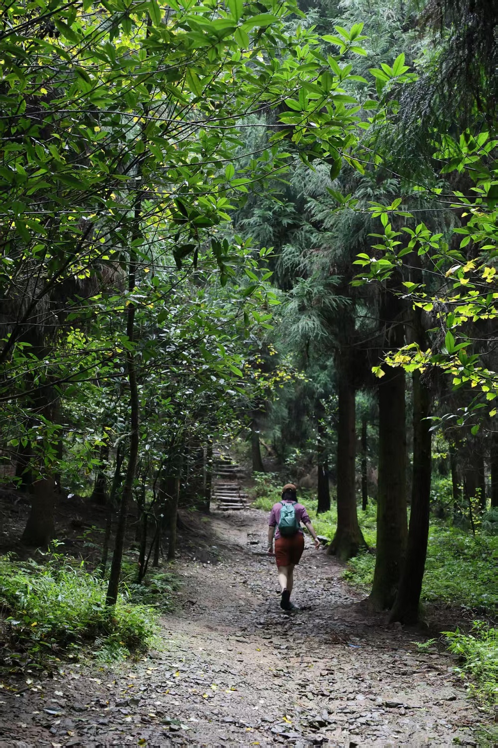 1758964951509366.jpg 283f282423d6e006a3ab832c59e8a48.jpg