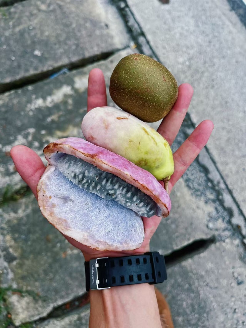 1758964962367984.jpg 0c12cc7abd3c74a49aae7c288c98c01.jpg