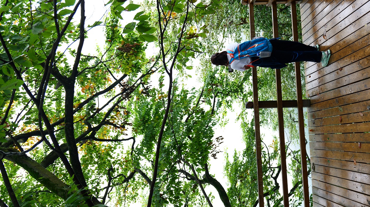 1758966623258109.jpg 351a3d7d023e27f9d677f94ec5ef9a2.jpg